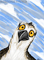 Patreon- Osprey by KynoMeow