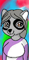cute raccoon girl
