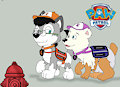 Paw patrol : training an emotionnal support puppy