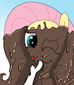 fluttershy vector