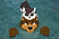Taking a swim