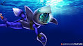 Krysi Diving