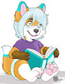 Reading a book