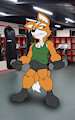 Fox McCloud
