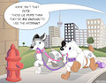 Puppy training a bear : lesson 4 walking time