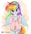 Sweater Dashie