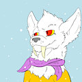 Snow Test