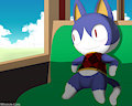 Rover's travels