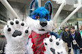 Ivry Inuit at LondonFurs 304 by Joshywooful