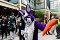 Theadore Rabbit at LondonFurs 304 by Joshywooful