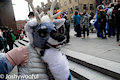 Cedar posing for the camera at LondonFurs 304