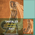 Tantalize Wall Scroll by Rukis by FurryDakimakura