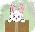 Bunny in a box