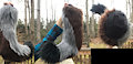Medium Wolf Tail by GoldenManeMascoting