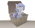 Discord Commission 2