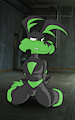 Tech E Coyote