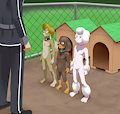 Training at Camp Kennel