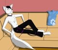 compfy couch