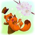 cherry blossom and tanuki