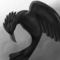 New Submission by TomNCatz