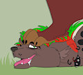Kovus paw slave