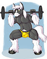 Squats