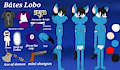 Lobo (character sheet 2019) by LoboTheBird
