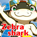 Zebra Shark!