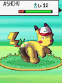 ashchu