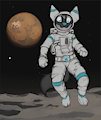 Walk on Deimos