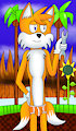 Tails in underwear