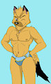 gavin road rovers speedo colored