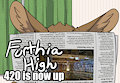 Furthia High 420