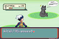 A Wild WOLFYMEW appeared!