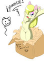 surprise :3
