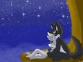 All of the Stars for You