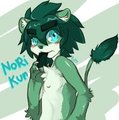 Nori-kun