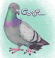Practice Pigeon