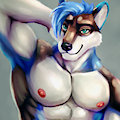 Omega husky