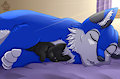 Little Buddy Snuggle