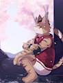 桜流し