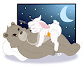 C : teddybears make the best beds