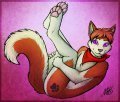 Husky Curl 