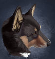 Pet Portrait -- Mindy