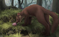 The Hunt