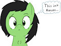 Kansas Filly by CraftyCirclePony