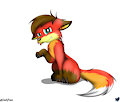 Sassy Foxxo