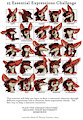 Lulu expression sheet