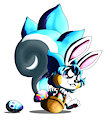 Pachireaster