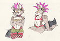 Coyote